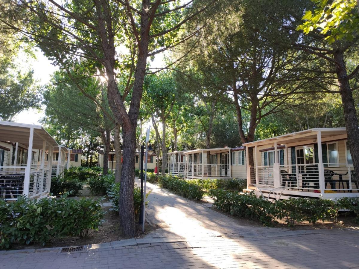Badiaccia Village Camping Castiglione del Lago Exterior foto